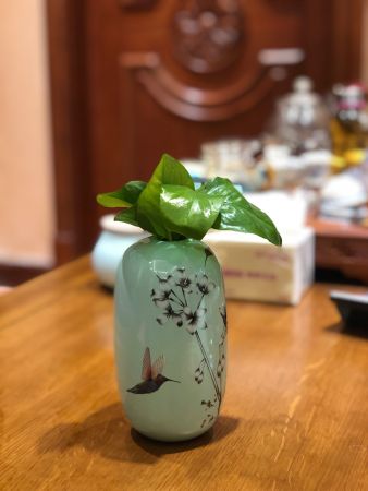 新绿