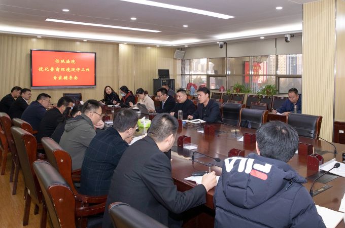 营商环境专家辅导会 (6)