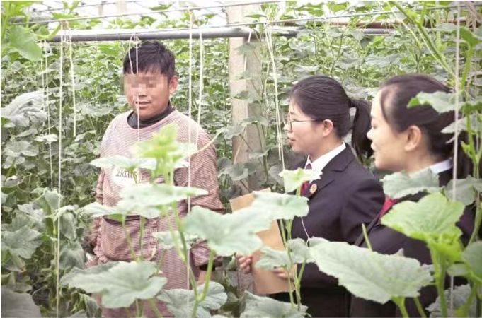微信图片_20241018160717