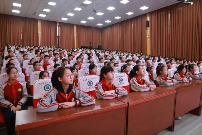 图片4